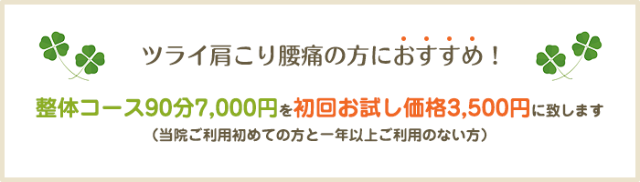 guide_img_coupon.gif